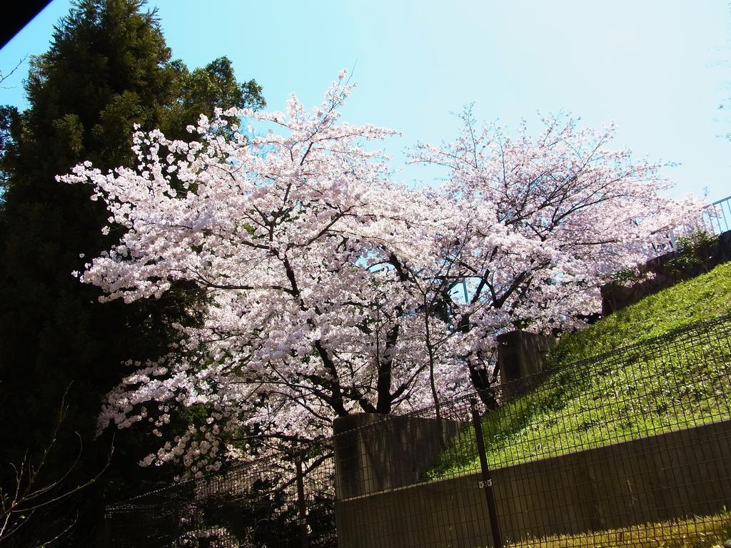 Guesthouse Engawa Kyoto Phòng bức ảnh
